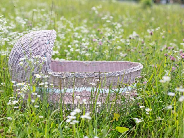 Liste de naissance minimale pour les premiers mois