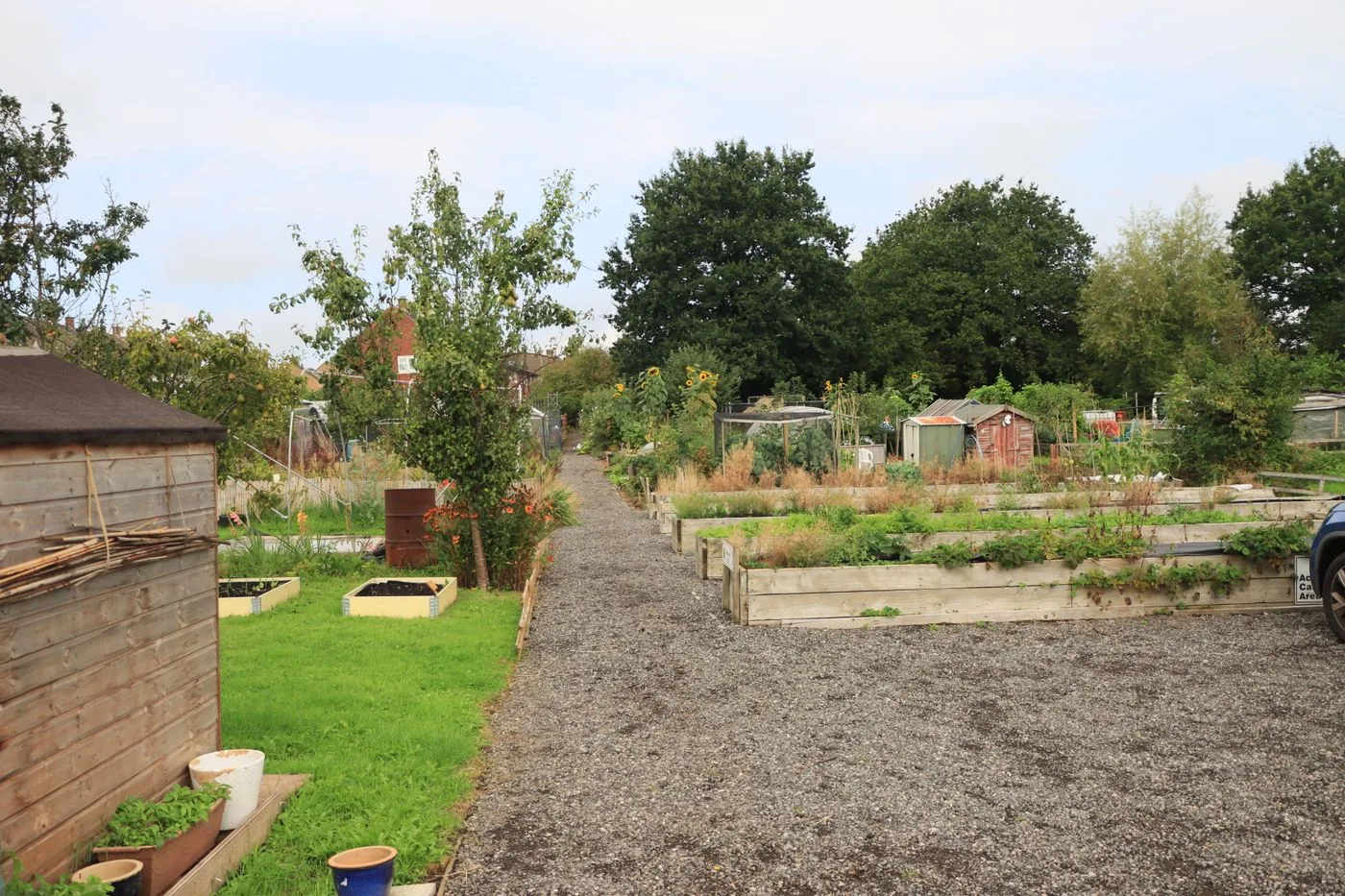 Des parcelles cultivées : se renseigner sur le fonctionnement du jardin avant une première visite.