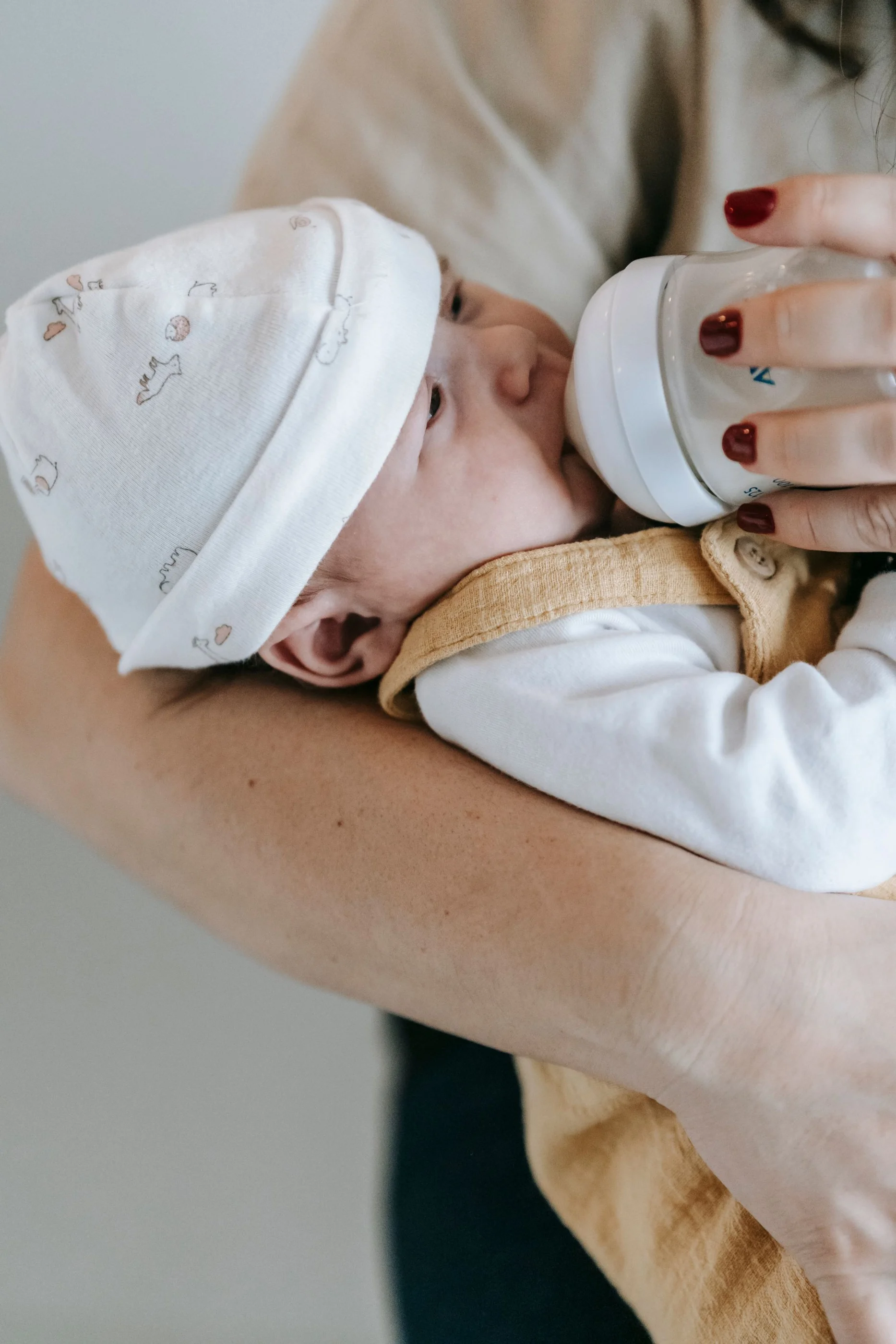 Préparer le matériel utile aux repas selon l’organisation de la famille.